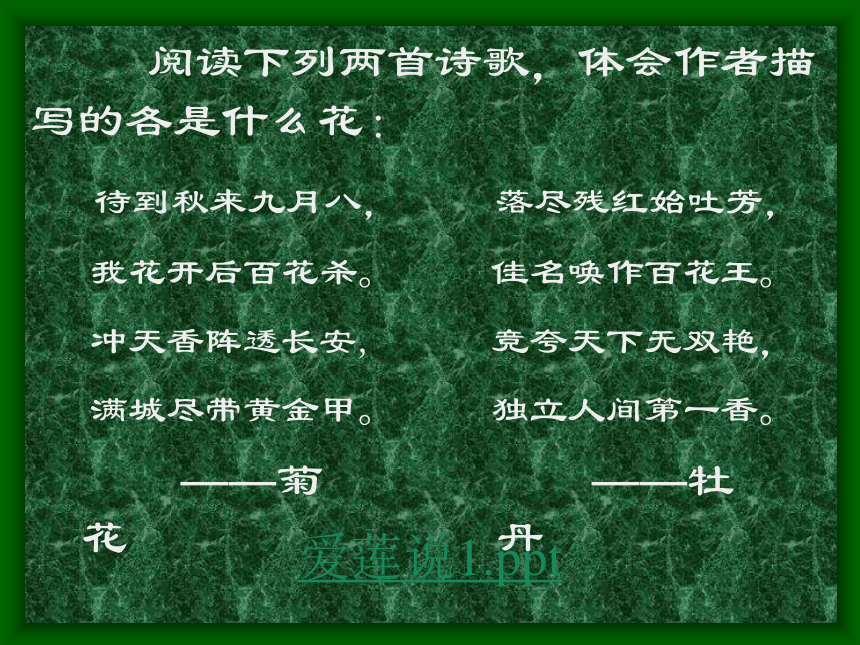 山西省忻州市五寨光明中学（人教版）语文八年级上册课件：第22课爱莲说（共79张PPT）