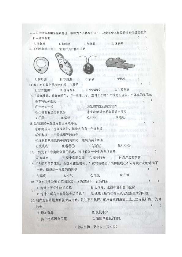 吉林省长春市朝阳区2019-2020学年七年级上学期期中考试生物试题（图片版，含答案）