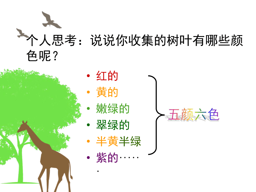 口语交际·秋天的树叶 课件 (1)