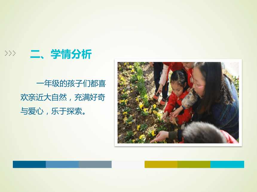 花儿草儿真美丽说课课件 (共17张PPT)