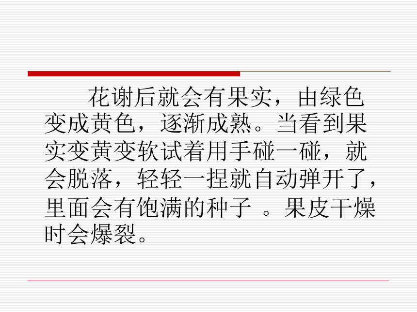 《把种子散播到远处》课件