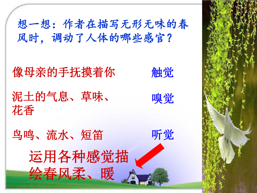 初中语文鲁教版六上 课件 13.《春》课件（共20张PPT）