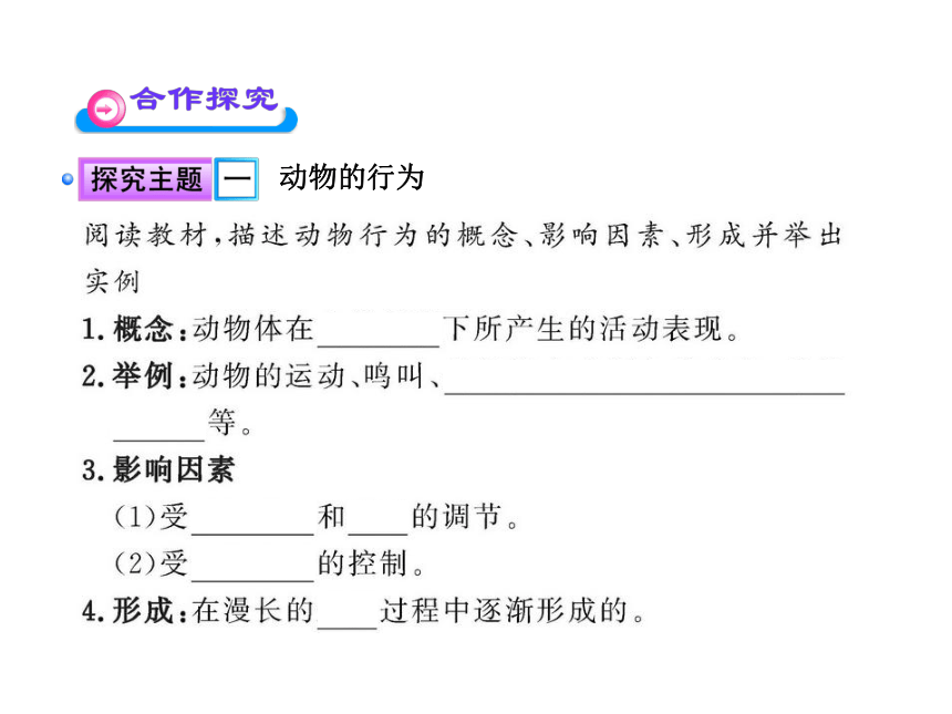 第一节 先天性行为和后天学习行为