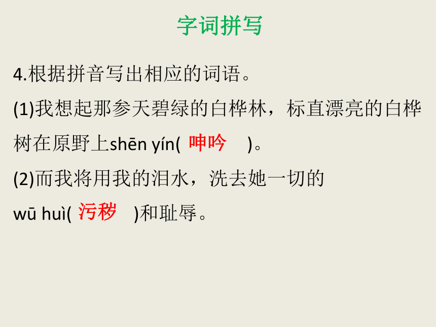 专题二 字词拼写 课件