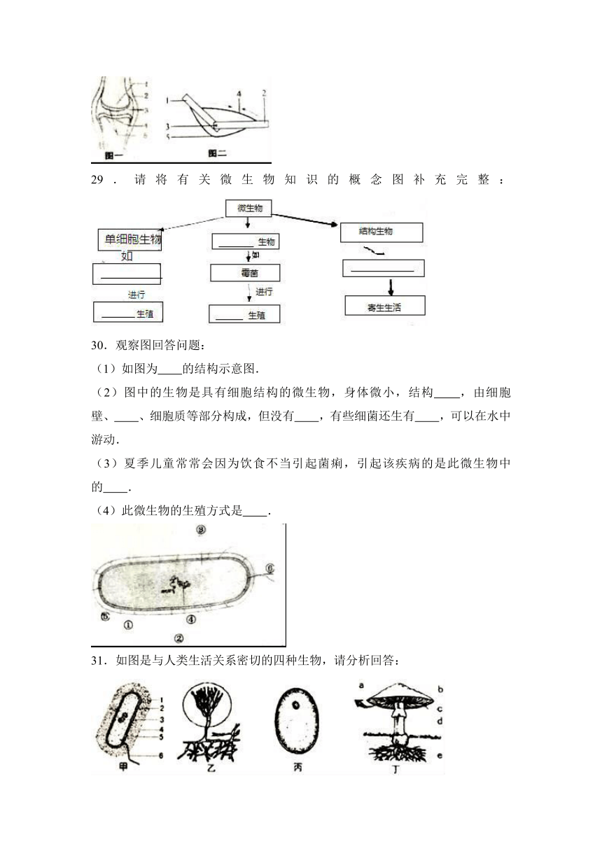 福建省龙岩市连城县2016-2017学年八年级（上）期中生物试卷（解析版）