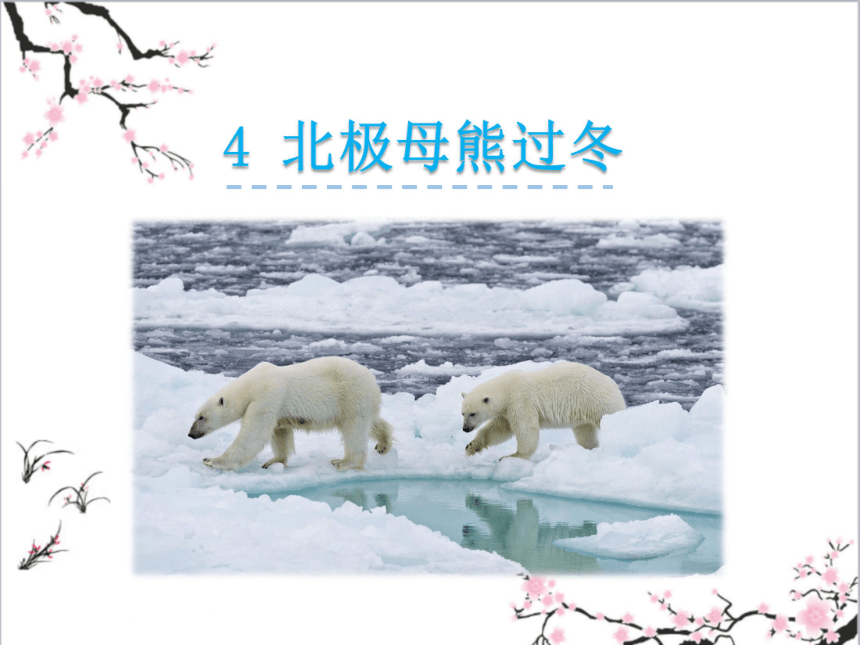 教科版（2018）语文三上 4 北极母熊过冬 课件