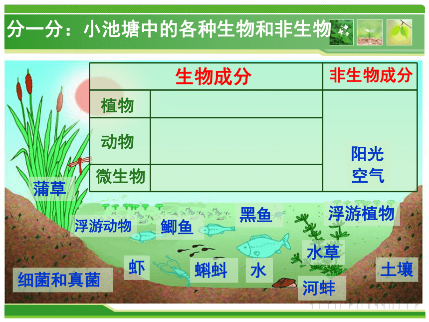 苏教版八年级生物上册 19.1 生态系统的组成课件 （共13张PPT）