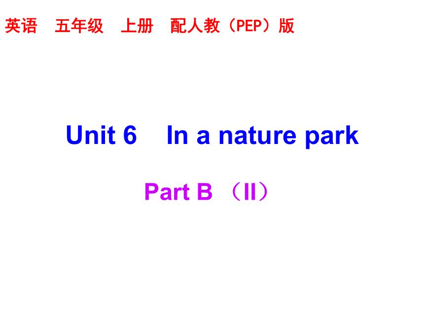 Unit 6 In a nature park PB 练习课件 19张