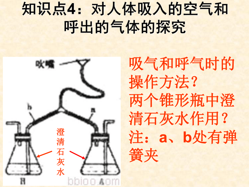 人教版化学九年级上册期末复习课件1