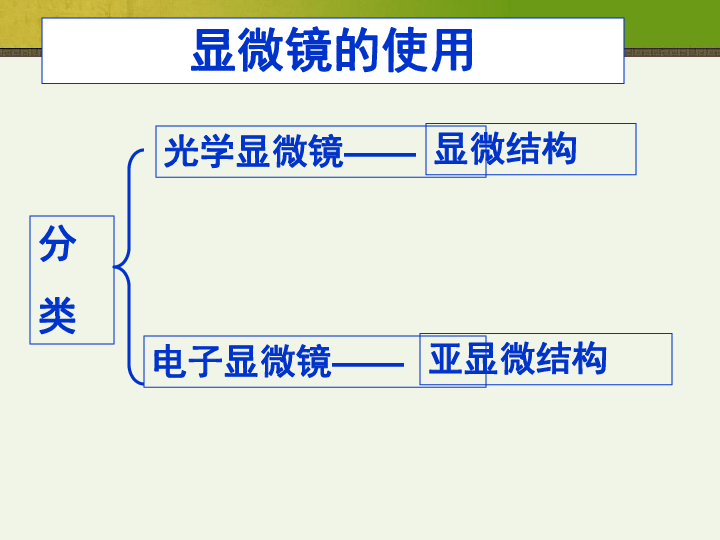 高中生物人教版生物必修1：复习课件课件(共61张PPT)