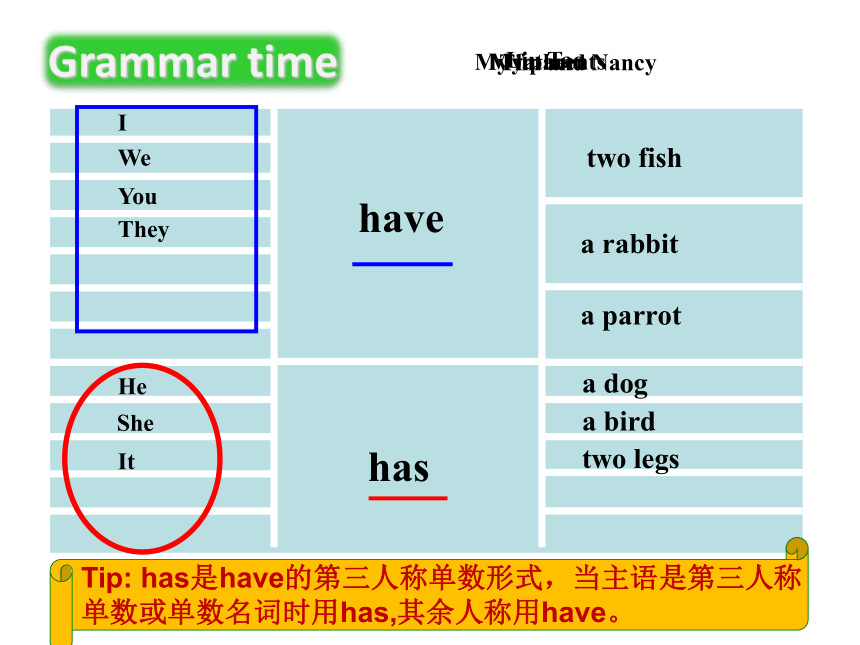 Unit 3 Our animal friends Grammar time & Fun time 课件