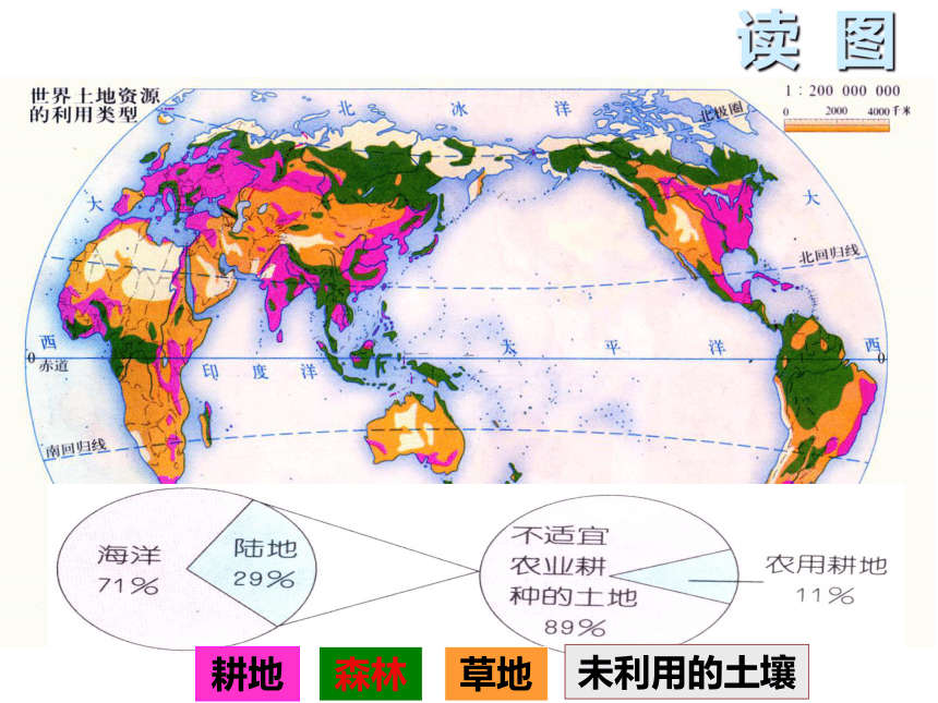 4.6 保护土壤 课件（22张PPT）