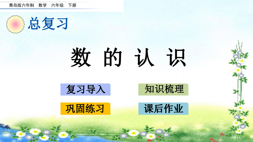 名师课件青岛版六年级下册数学期末总复习11数的认识14页ppt