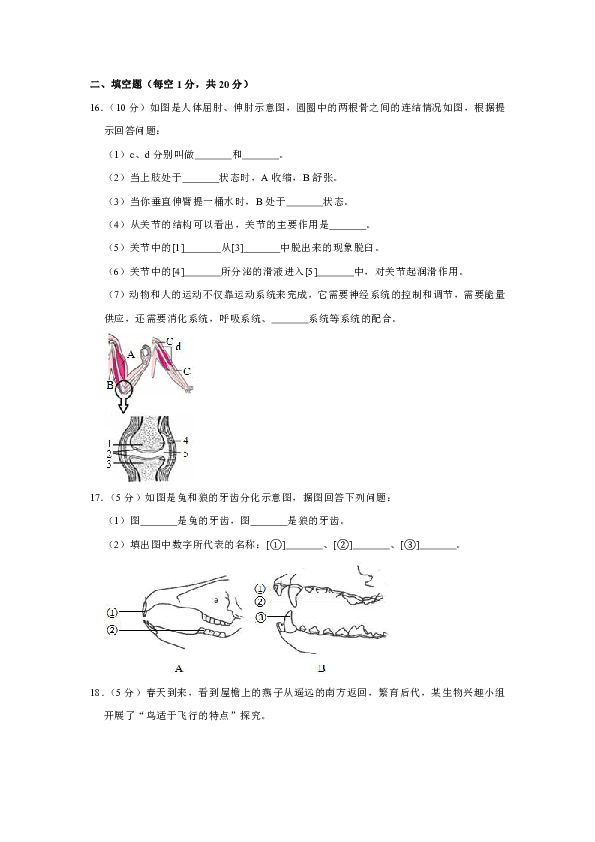 2018-2019学年安徽省安庆市二十二校联考八年级（上）期中生物试卷（解析版）