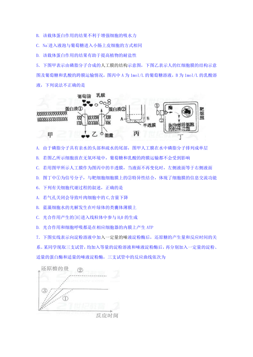 2016-2017学年新疆哈密地区第二中学高一下学期期末考试生物试题