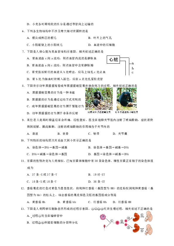 北京市石景山区2020届九年级上学期期末考试生物试题（含答案）