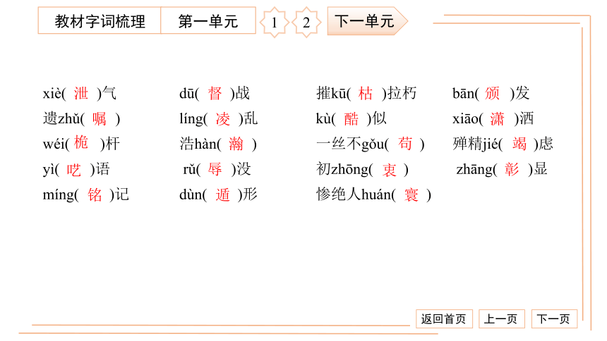 统编版八上语文专项检测卷（一）字音、字形、词语 习题课件（36张PPT）