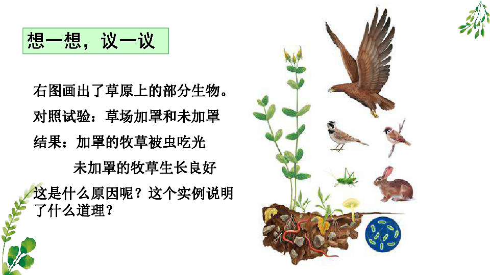 人教版七上生物课件第二章第二节  生物与环境组成生态系统（33张PPT）