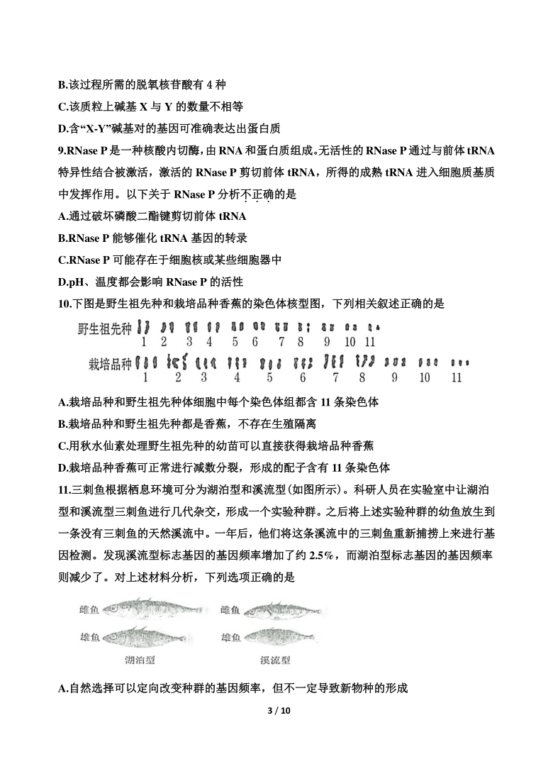 山东省济南市2020~2021学年高三上学期期中考试生物试卷  含答案