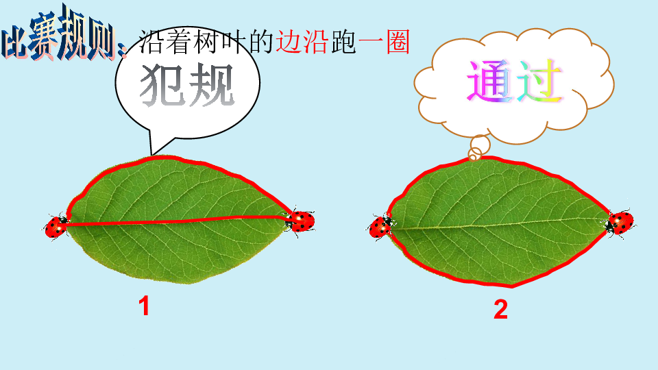 三年级上册数学 7.1 认识周长课件西师大版  (共17张PPT)