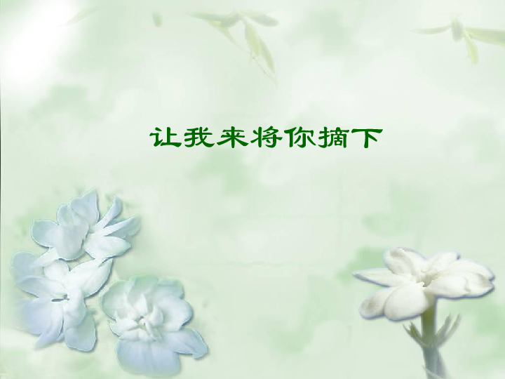 2.歌曲 茉莉花 课件（21张幻灯片）