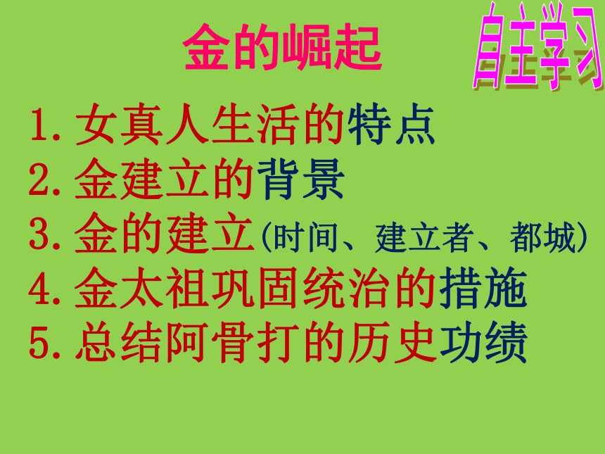 人教版七年级历史下册第8课金与南宋的对峙教学课件 （47张PPT） (共47张PPT)