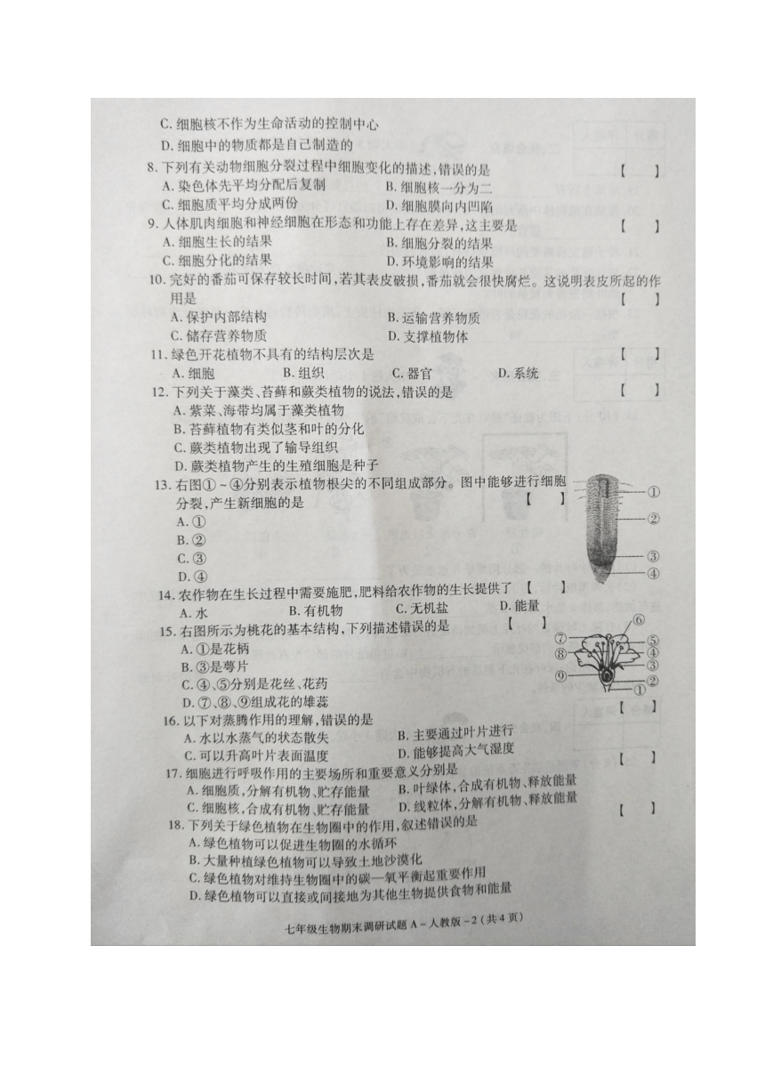 陕西省定边县2017-2018学年七年级上学期期末考试生物试题（图片版）