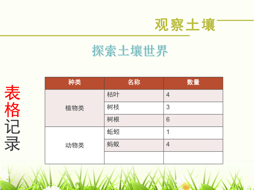 2、了解土壤 课件