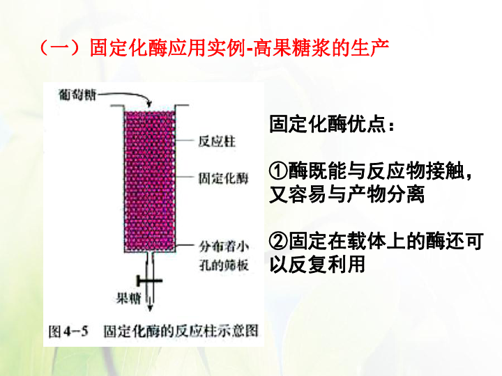 人教版高中生物选修一专题四课题3 酵母细胞的固定化 课件共21张PPT