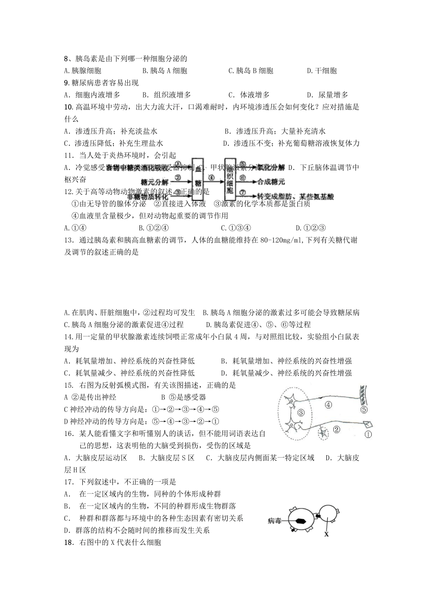 山东省济南世纪英华实验学校2012-2013学年高二上学期期末考试 生物