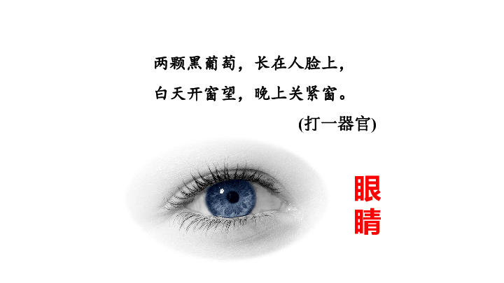 小学语文人教部编版四年级上册 第三单元 口语交际：爱护眼睛 保护视力 课件（21张ppt）