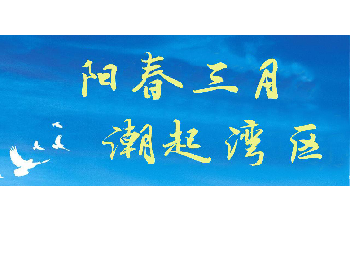 2019年中考时政专题复习：粤港澳大湾区  课件（16张PPT）