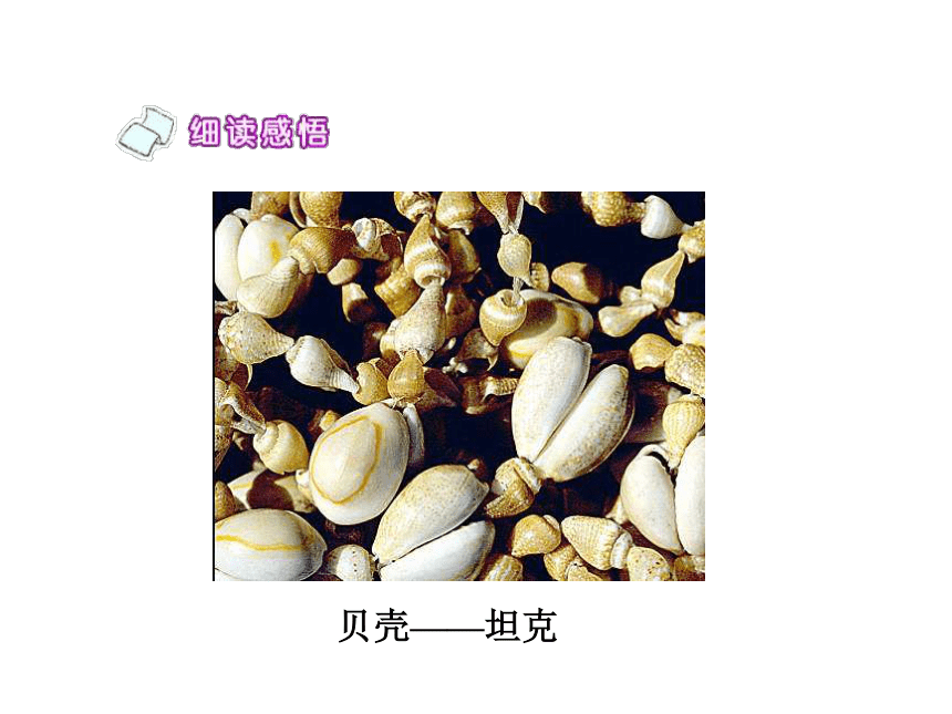 《人类的“老师”》课件 (共47张PPT)