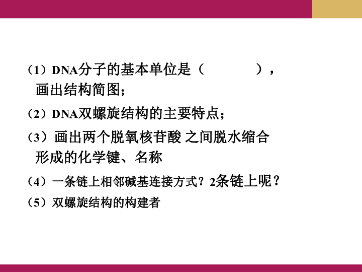 人教版高中生物必修2-3．3DNA的复制（共26张PPT）