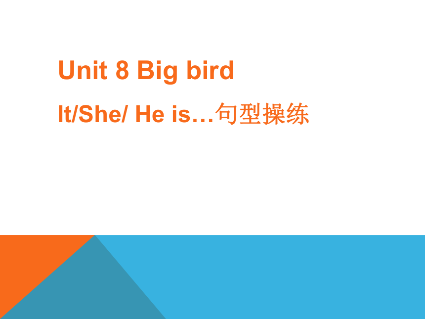 Unit 8 Big bird---It (She or He) is...句型操练课件（共19张PPT）