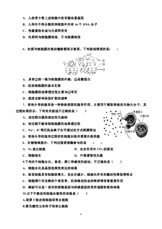 辽宁省普兰店市第一中学2019届高三上学期期中考试生物试题