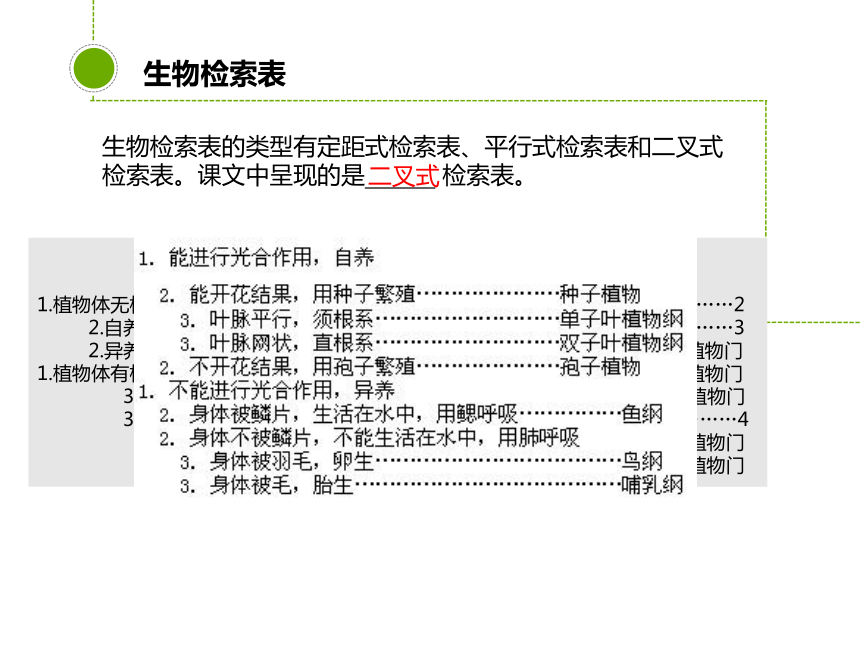 二歧式检索表怎么画图片