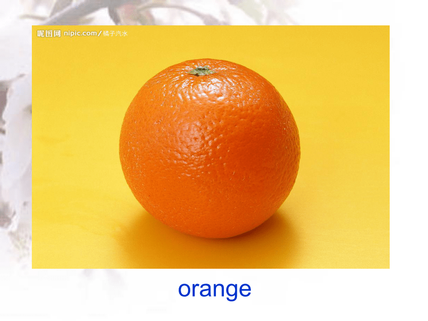英语三年级下外研版(三起)Module4 Unit 2 Does Lingling like oranges课件1