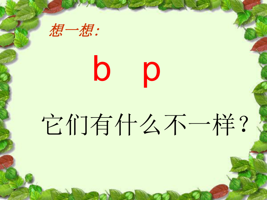 《b.p.m.f》课件