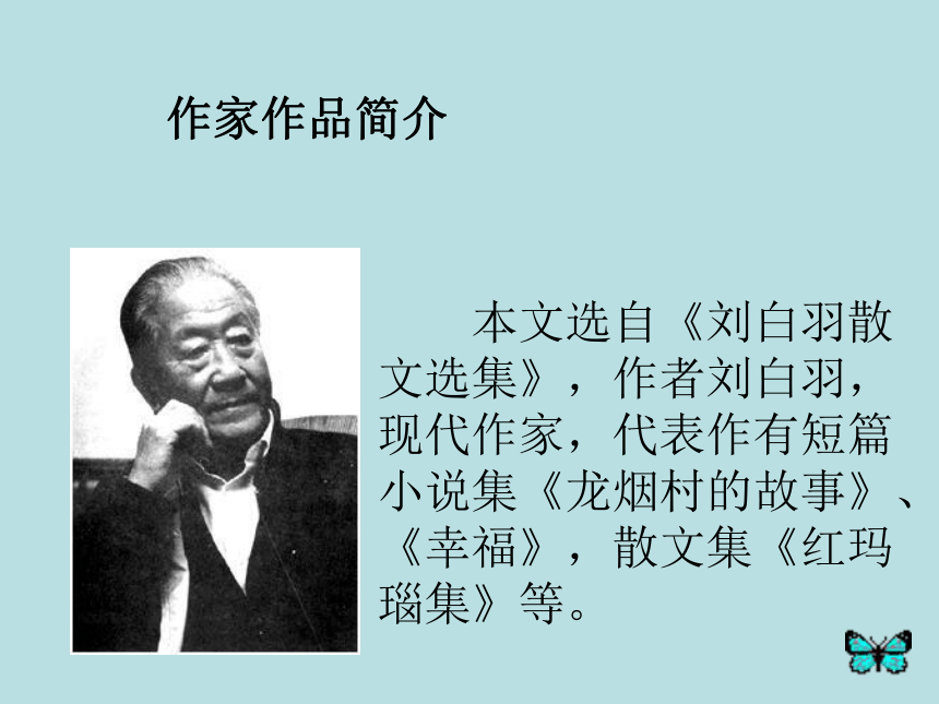 语文七年级下人教版（新疆专用）4.18《白蝴蝶之恋》课件（20张）