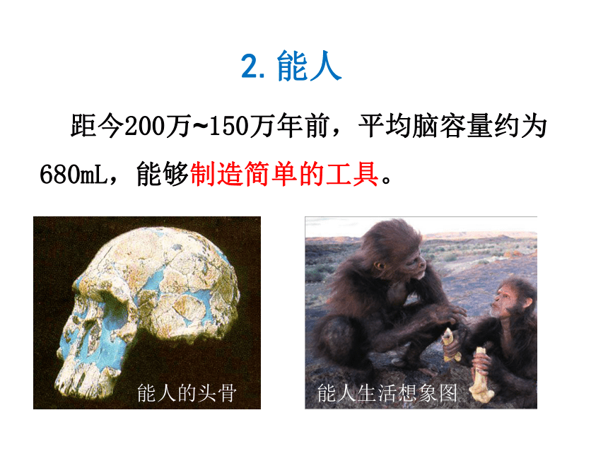 济南版生物八下5.2.2人类的进化 课件（22张ppt）