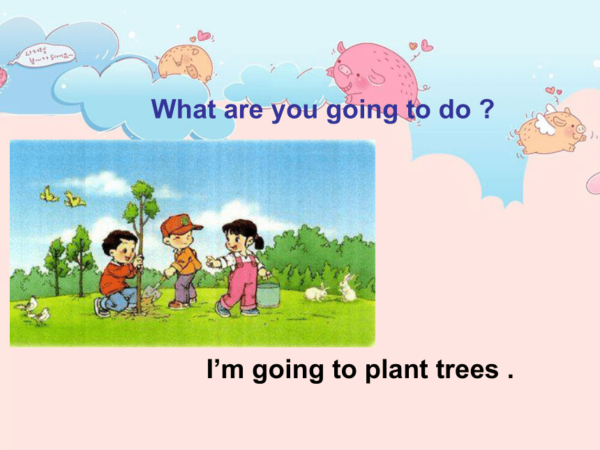 Unit 1 What are you going to do  Lesson 5 课件  (共19张PPT)