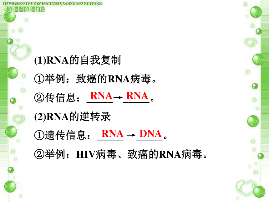 人教版高中生物必修二第四章第二节 基因对性状的控制（31张PPT）