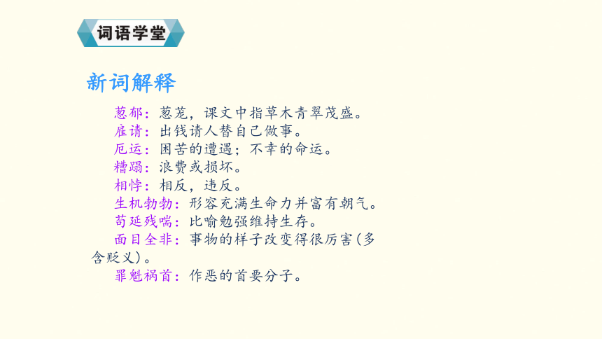 鹿和狼的故事课件 (共33张PPT)