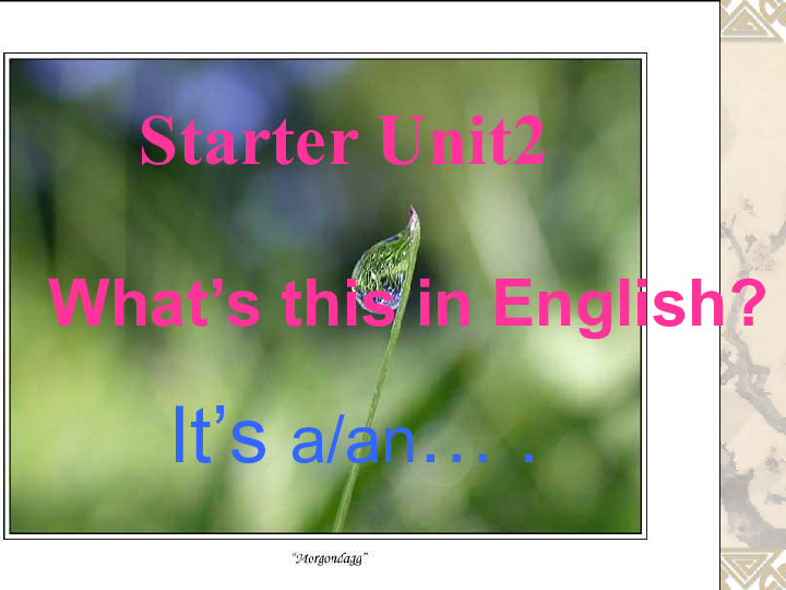 外研版英语七年级上Starter Module 3 My English book Unit 1 What's this in English?课件（共22张PPT）