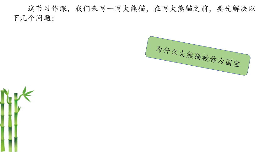 统编版三年级语文下册第七单元习作：国宝大熊猫   课件  (共23张 )