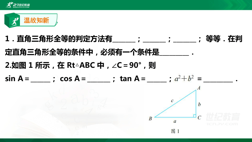 【A典学案】1.5 解直角三角形 课件（16张PPT）