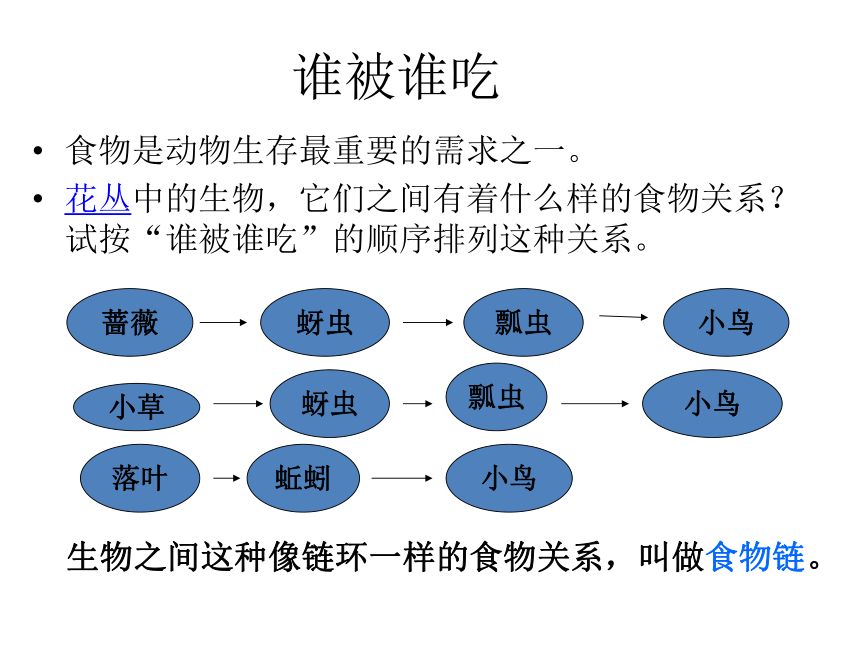 教科版五年级上册科学  1.5食物链和食物网    课件（17ppt）