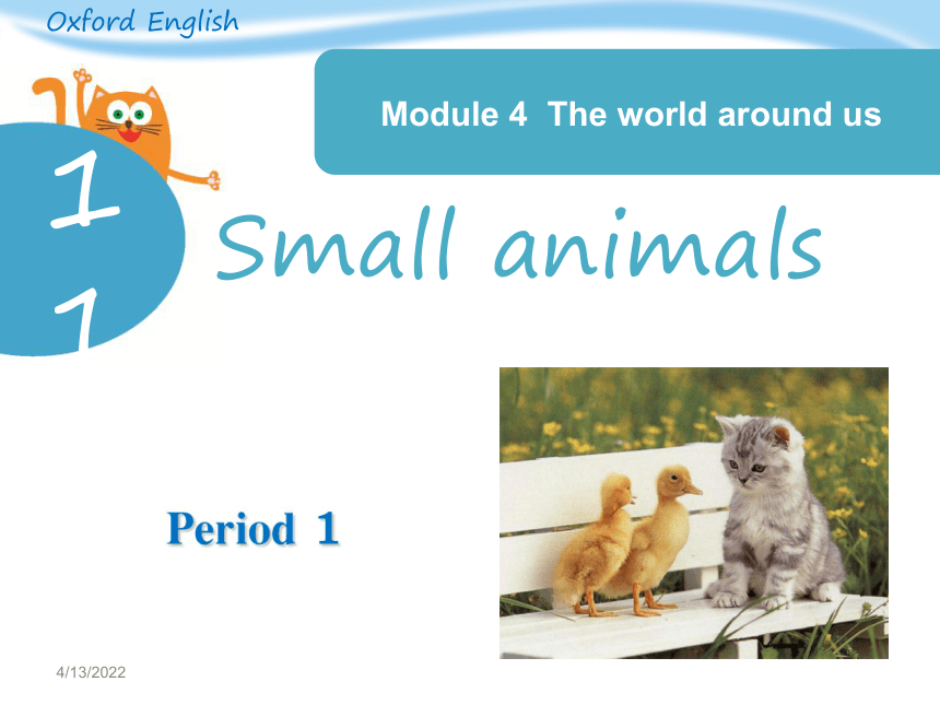 Unit 11 Small animals 第一课时课件