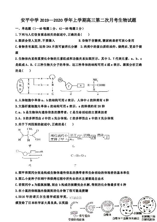 河北安平中学2020届高三上学期第二次月考生物试题 (答案带解析）